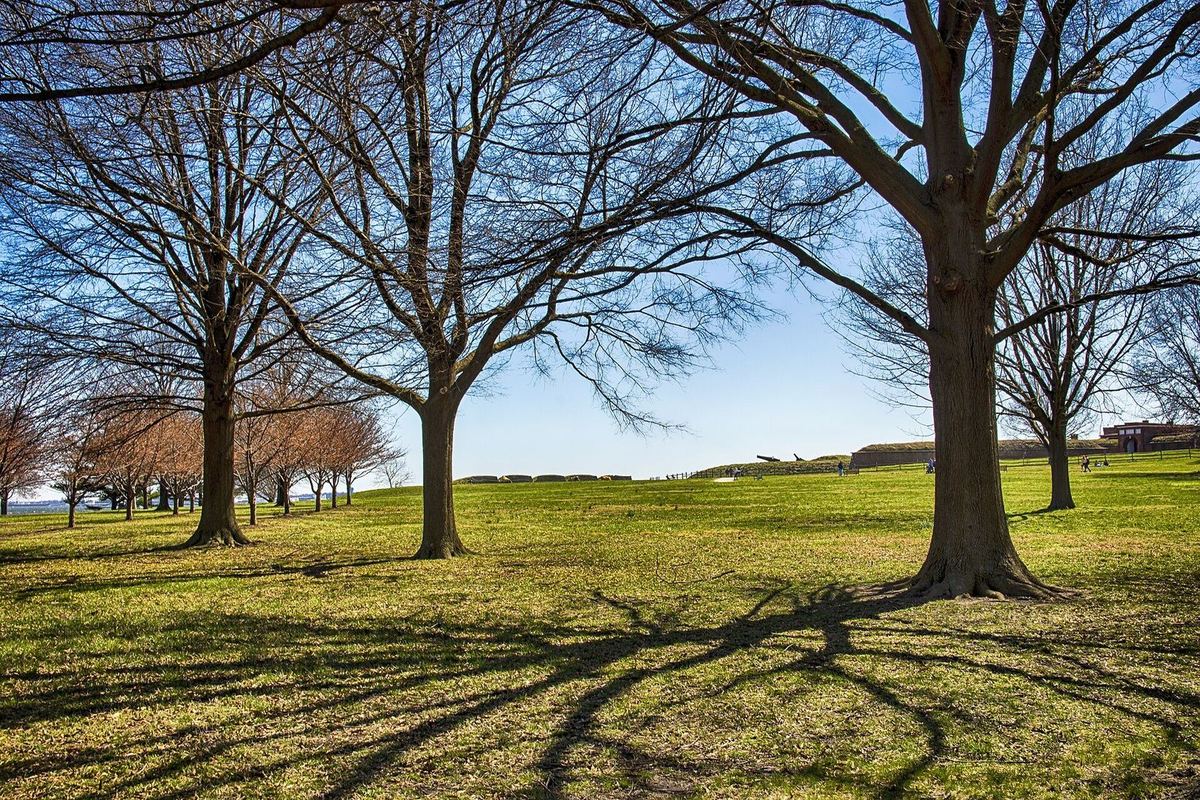 Bare trees and their shadows on the lawns of Fort McHenry in early spring