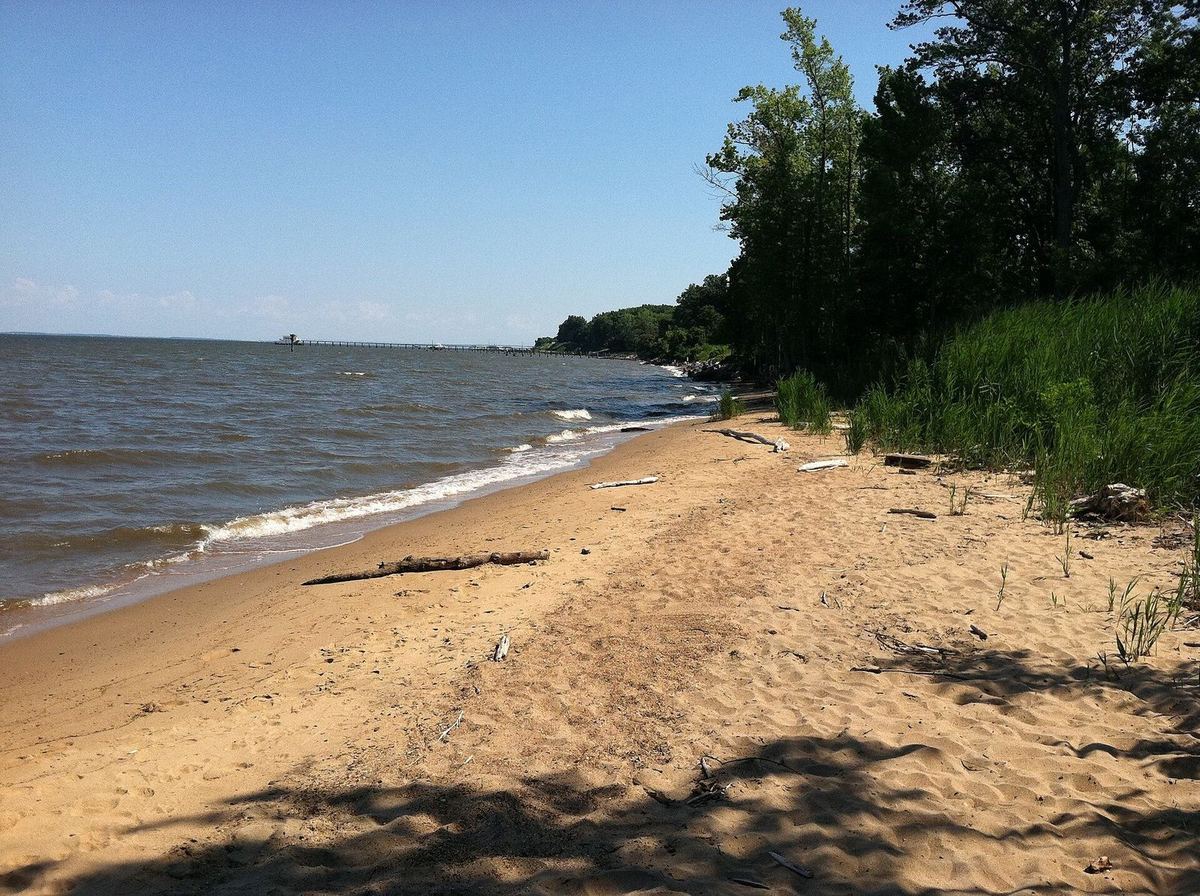 The sandy Chesapeake Bay shore at Downs Park in Pasadena